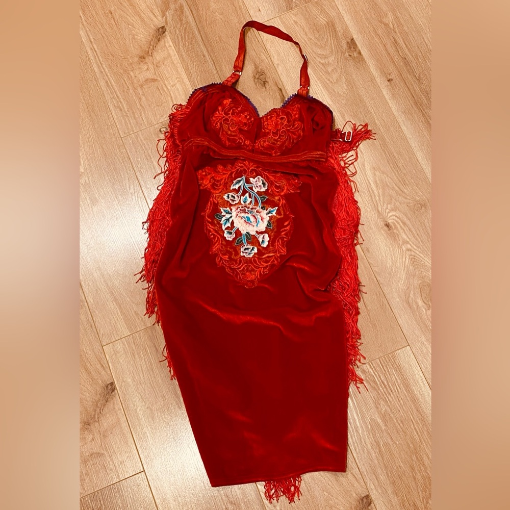 RED SOLSTICE INTIMATES Embroidered Velvet dress